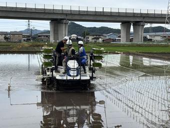 側条施肥田植機の試乗の内容を表示