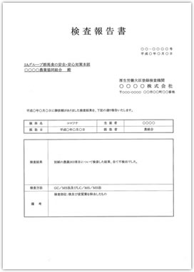 検査報告書（イメージ）