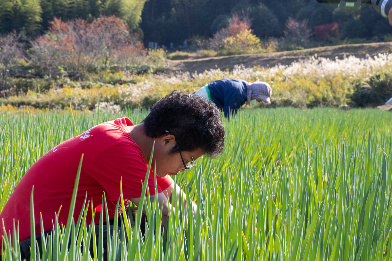 畜産たい肥は、いいものを作るために必要なステップ