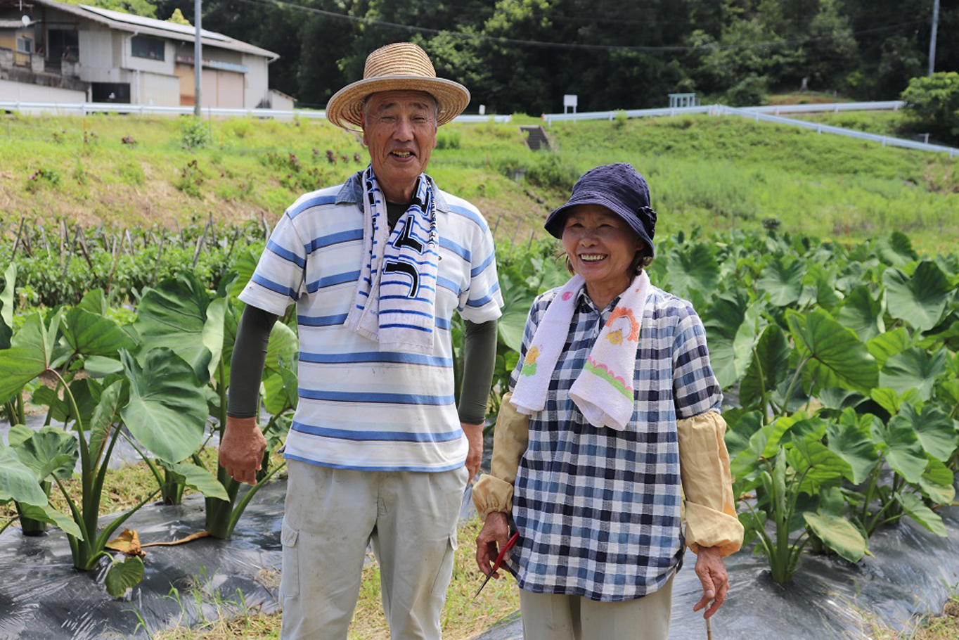 野菜作りを始めて、約20年目