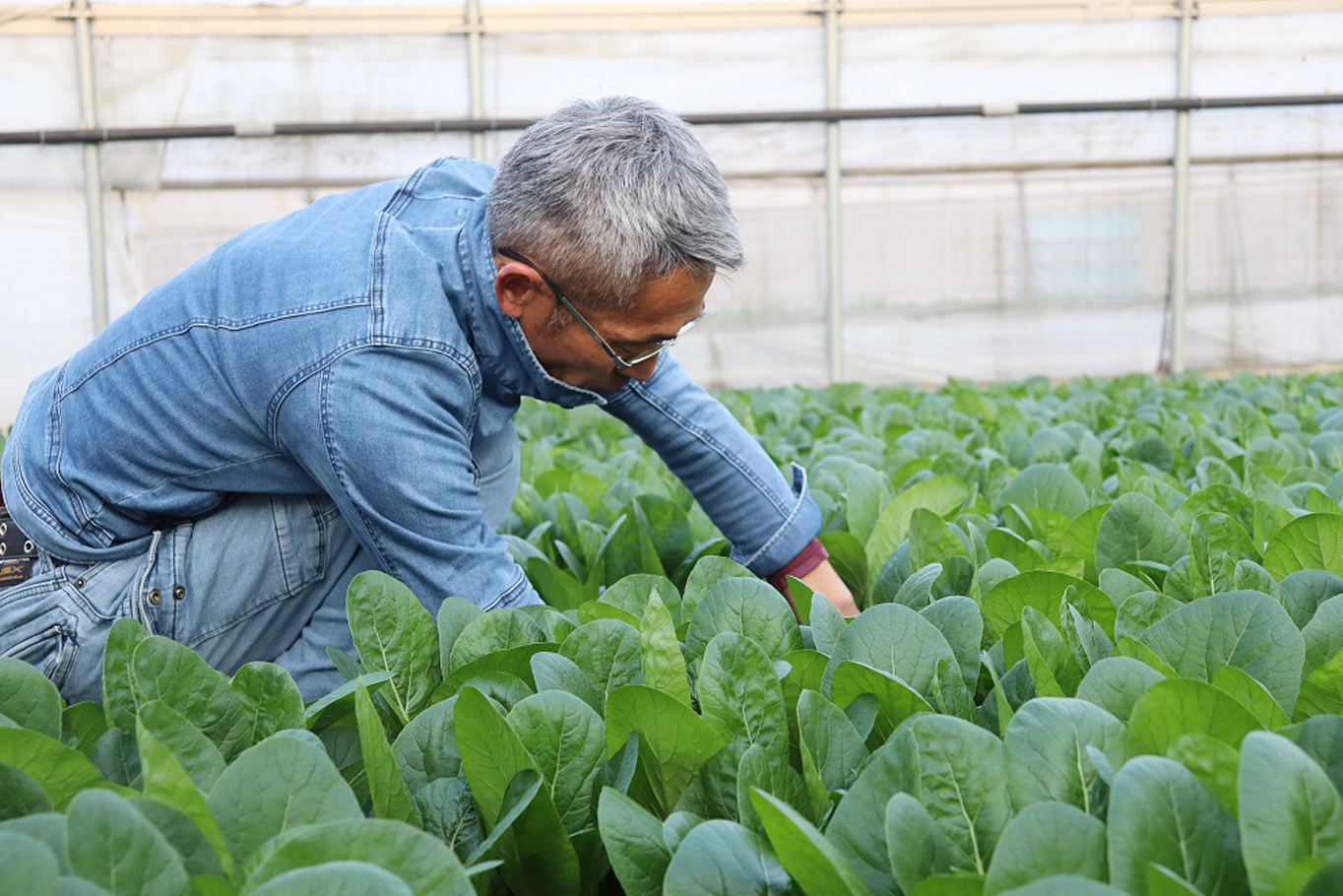 野菜作りで大切なのは土づくり