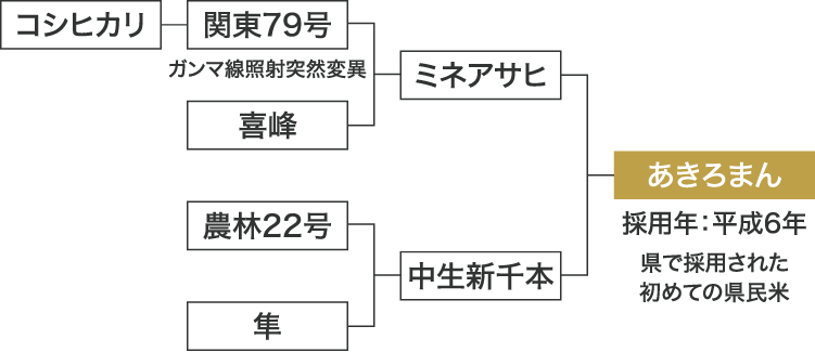 あきろまんの系譜