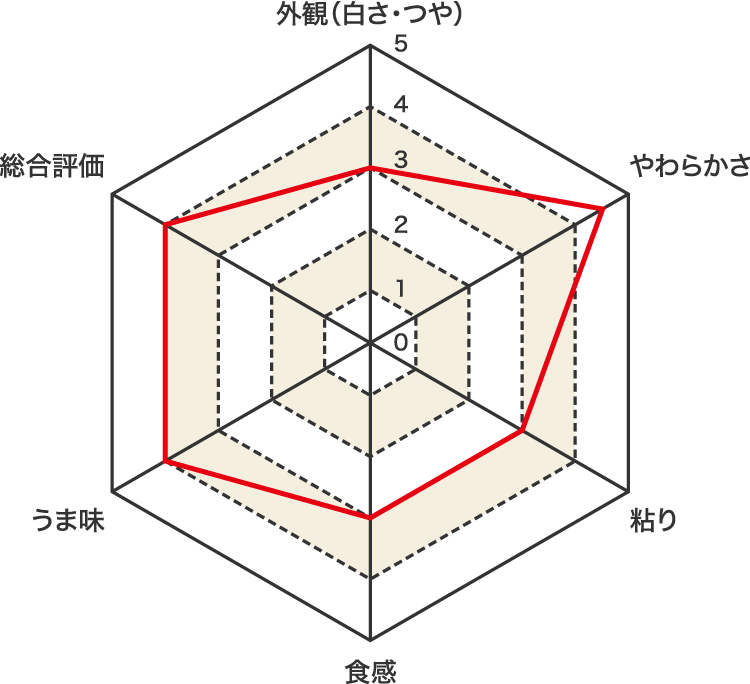 炊飯官能評価