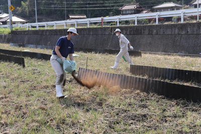 鶏ふん散布の様子の内容を表示