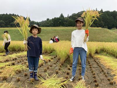 △刈り取った稲を手にもつ参加者の内容を表示