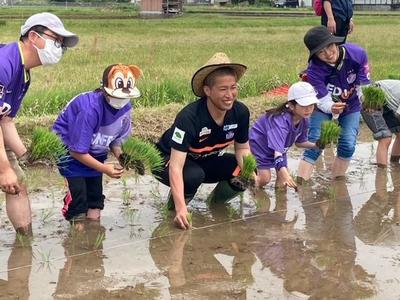 ▲一列になり苗を植える参加者（吉田町で、１４日）の内容を表示