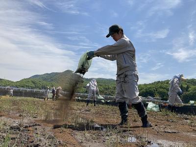 鶏ふん堆肥を散布する様子（三原市で）の内容を表示