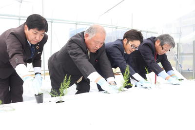 アスパラガスを植栽する谷脇さん（右から2人目）の内容を表示