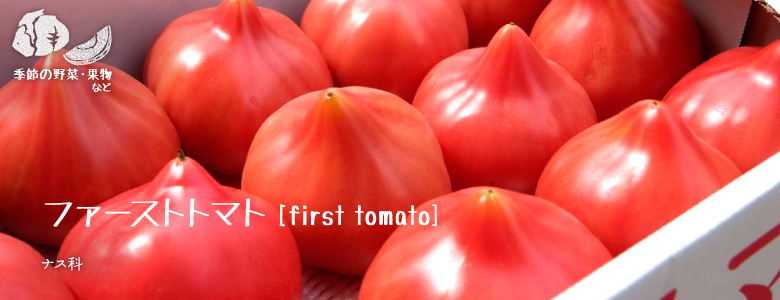 ファーストトマト