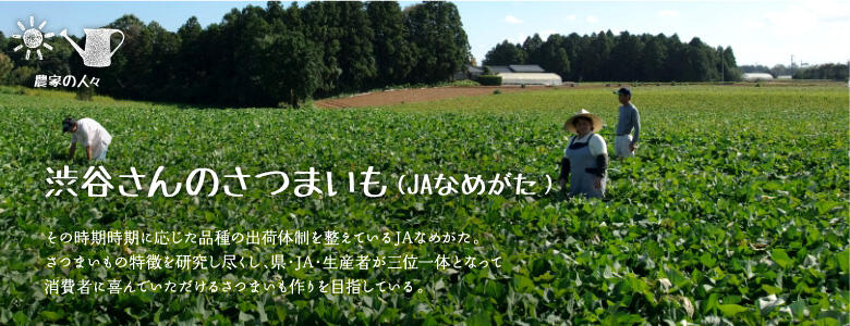 その時期時期に応じた品種の出荷体制を整えているJAなめがた。さつまいもの特徴を研究し尽くし、県・JA・生産者が三位一体となって消費者に喜んでいただけるさつまいも作りを目指している。