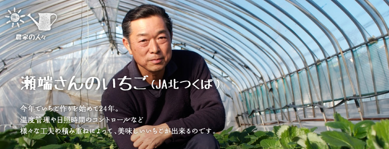 今年でいちご作りを始めて24年。温度管理や日照時間のコントロールなど、様々な工夫の積み重ねによって、美味しいいちごが出来るのです。