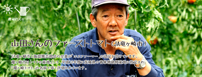 JA竜ヶ崎市と施設園芸部会の全員が「エコファーマー」の認定を受けています。
龍ヶ崎市はトマトの産地として、平成12年度に茨城県の青果物銘柄産地に指定され「龍ヶ崎トマト」の名前で高く評価されています。
