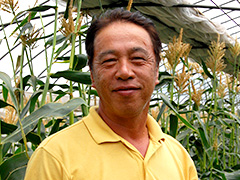 JA北つくば 結城市園芸部会 トウモロコシ部 部会長 宮田理也さん