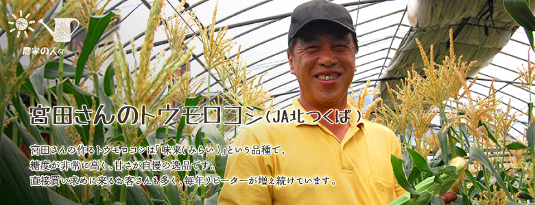宮田さんの作るトウモロコシは「味来（みらい）」という品種で、糖度が非常に高く、甘さが自慢の逸品です。直接買い求めに来るお客さんも多く、毎年リピーターが増え続けています。