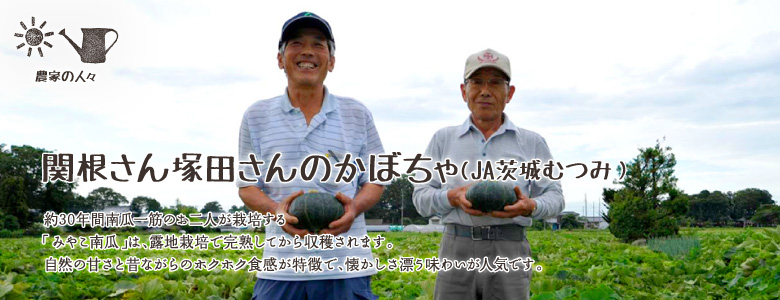 約30年間南瓜一筋のお二人が栽培する「みやこ南瓜」は、露地栽培で完熟してから収穫されます。自然の甘さと昔ながらのホクホク食感が特徴で、懐かしさ漂う味わいが人気です。