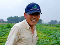 JA茨城むつみ 三和地区野菜生産部会かぼちゃ部会部会長 関根正一さん