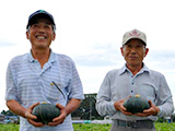 関根さん塚田さんのかぼちゃ