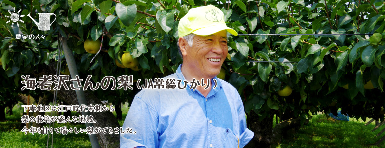 下妻地区は江戸時代末期から梨の栽培が盛んな地域。今年も甘くて瑞々しい梨ができました。