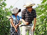 山口さんのなす