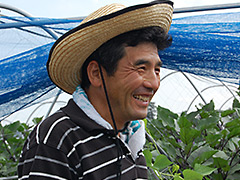 JA北つくば 結城市園芸部会茄子部 山口茂也さん