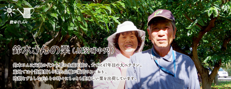 鈴木さんは父親の代から栗の生産を続け、すでに47年目の大ベテラン。
産地では十数種類もの栗の品種が栽培されており、
時期をずらしながらその時々にもっとも美味しい栗を出荷しています。