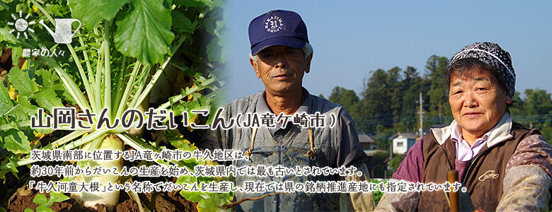茨城県南部に位置するJA竜ヶ崎市の牛久地区は、約30年前からだいこんの生産を始め、茨城県内では最も古いとされています。「牛久河童大根」という名称でだいこんを生産し、現在では県の銘柄推進産地にも指定されています。