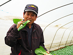 生でも食べられると同連絡会の石崎 次男さん