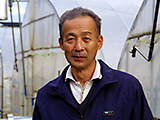 堀田さんの大葉（しそ）