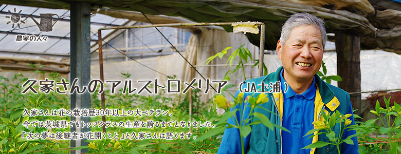 久家さんは花の栽培歴30年以上の大ベテラン。
今では茨城県でもトップクラスの生産を誇るまでとなりました。  
『次の夢は後継者が花開くこと』と久家さんは語ります。