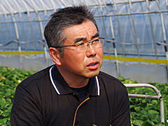 JA北つくば いちご部会 部会長 鷺谷 一雄さん