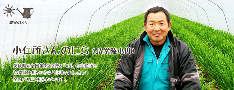 茨城県は全国第3位を誇る「にら」の生産地で、JA常陸小川のにらは「小川のにら」として全国でも広く知られています。