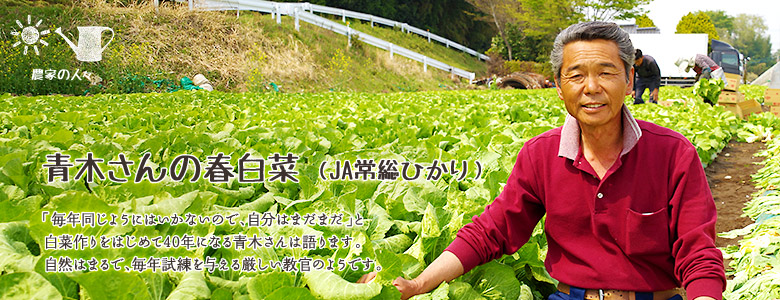 「毎年同じようにはいかないので、自分はまだまだ」と白菜作りをはじめて40年になる青木さんは語ります。
自然はまるで、毎年試練を与える厳しい教官のようです。