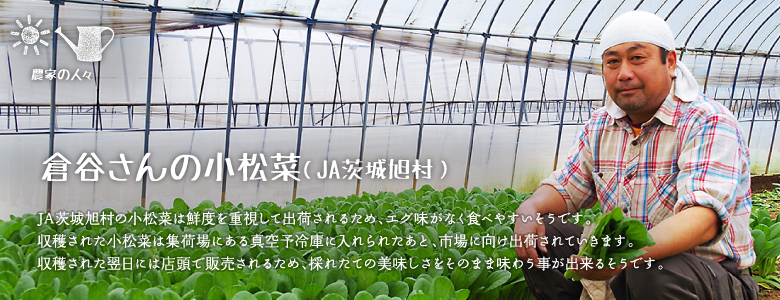 JA茨城旭村の小松菜は鮮度を重視して出荷されるため、エグ味がなく食べやすいそうです。収穫された小松菜は集荷場にある真空予冷庫に入れられたあと、市場に向け出荷されていきます。収穫された翌日には店頭で販売されるため、採れたての美味しさをそのまま味わう事が出来るそうです。