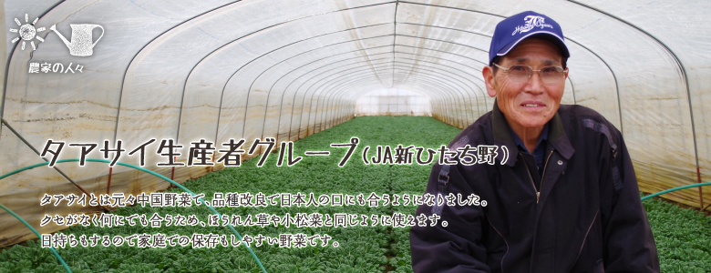 タアサイとは元々中国野菜で、品種改良で日本人の口にも合うようになりました。クセがなく何にでも合うため、ほうれん草や小松菜と同じように使えます。日持ちもするので家庭での保存もしやすい野菜です。　