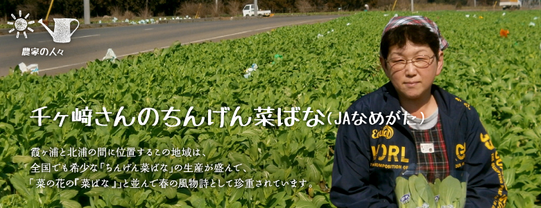 霞ヶ浦と北浦の間に位置するこの地域は、全国でも希少な「ちんげん菜ばな」の生産が盛んで、「菜の花の『菜ばな』」と並んで春の風物詩として珍重されています。