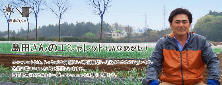 エシャレットとは、らっきょうを深植えして軟白栽培し、若採りしたものを言います。名前が似ていることでよく混同されますが、西洋野菜のたまねぎの一種、エシャロットとは別の野菜です。