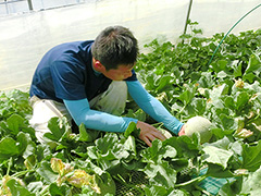 image004.jpg