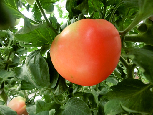 image01.jpg