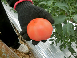 image02.jpg