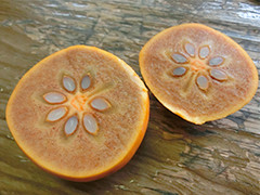 image05.jpg