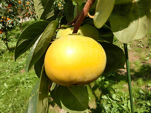image06.jpg