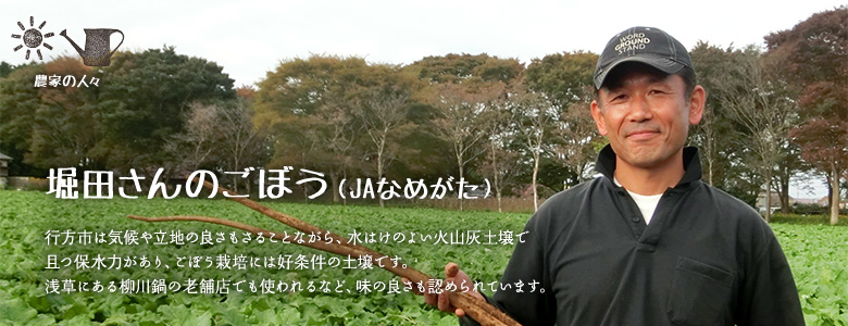 行方市は気候や立地の良さもさることながら、水はけのよい火山灰土壌で且つ保水力があり、ごぼう栽培には好条件の土壌です。浅草にある柳川鍋の老舗店でも使われるなど、味の良さも認められています。