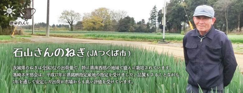 茎崎ネギ部会は、平成17年に県銘柄指定産地の指定を受けました。品質もさることながら、1年を通して安定した出荷が市場からも高い評価を受けています。