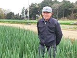 石山さんのねぎ