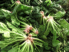 image04.jpg