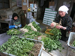image_04.jpg