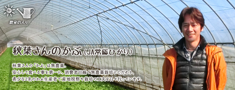 秋葉さんの「かぶ」は無農薬。
安心して食べる事を第一に、消費者目線で無農薬栽培にこだわり、希少な2名のかぶ生産者で産地視察や栽培の工夫を日々行っています。