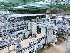 image3.jpg