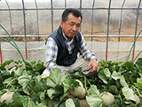 長州さんの春メロン