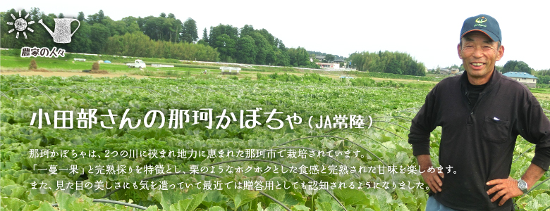 那珂かぼちゃは、2つの川に挟まれ地力に恵まれた那珂市で栽培されています。
「一蔓一果」と完熟採りを特徴とし、栗のようなホクホクとした食感と完熟された甘味が楽しめます。また、見た目の美しさにも気を遣っていて最近では贈答用としても認知されるようになりました。